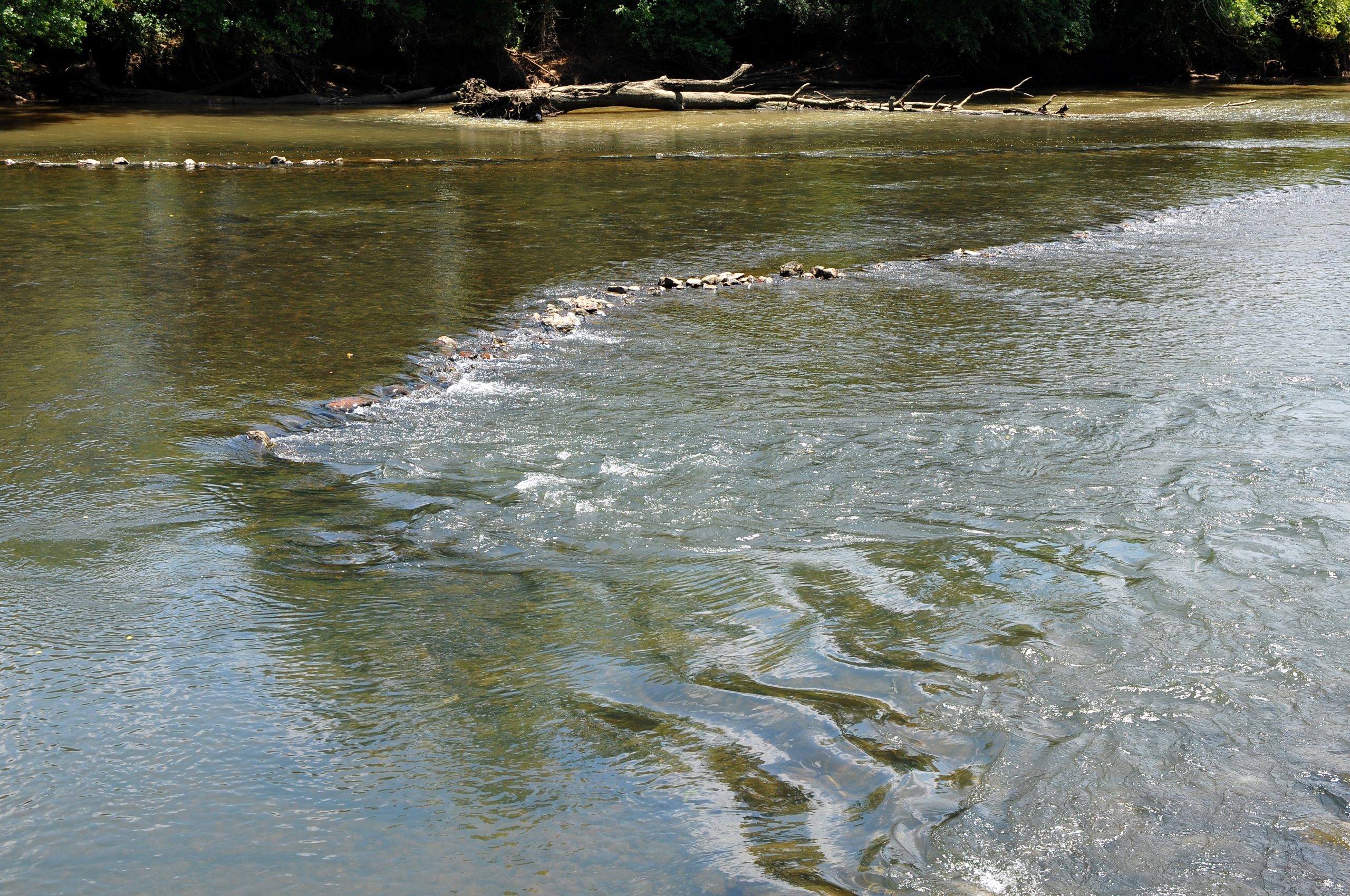 The United Cherokee Republic